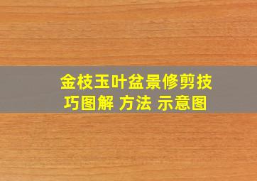 金枝玉叶盆景修剪技巧图解 方法 示意图